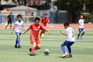 里皮谈执教,国足经历,月有望重返,8868体育平台,8868体育官方网站,8868体育登录入口,8868体育app下载