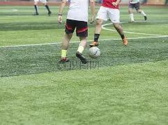 芝士,正好,三人篮球,8868体育平台,8868体育官方网站,8868体育登录入口,8868体育app下载