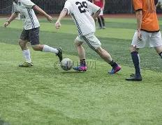 香草芬芳共,研学,沙门村寻振,8868体育平台,8868体育官方网站,8868体育登录入口,8868体育app下载