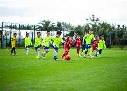 体育,产品,8868体育,8868体育平台,8868体育官方网站,8868体育登录入口,8868体育app下载