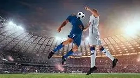 2025网球世界团体赛全明星阵容揭晓，莎娃与哈里森领队出征