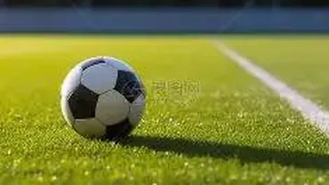 8868体育 资讯 135713 4sj