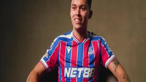 霍芬海姆迎战达姆施塔特 第16轮德甲赛事