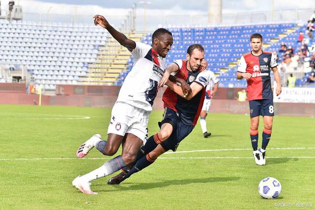 极为罕见的 极为罕见的