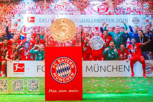 主导优势 主导优势